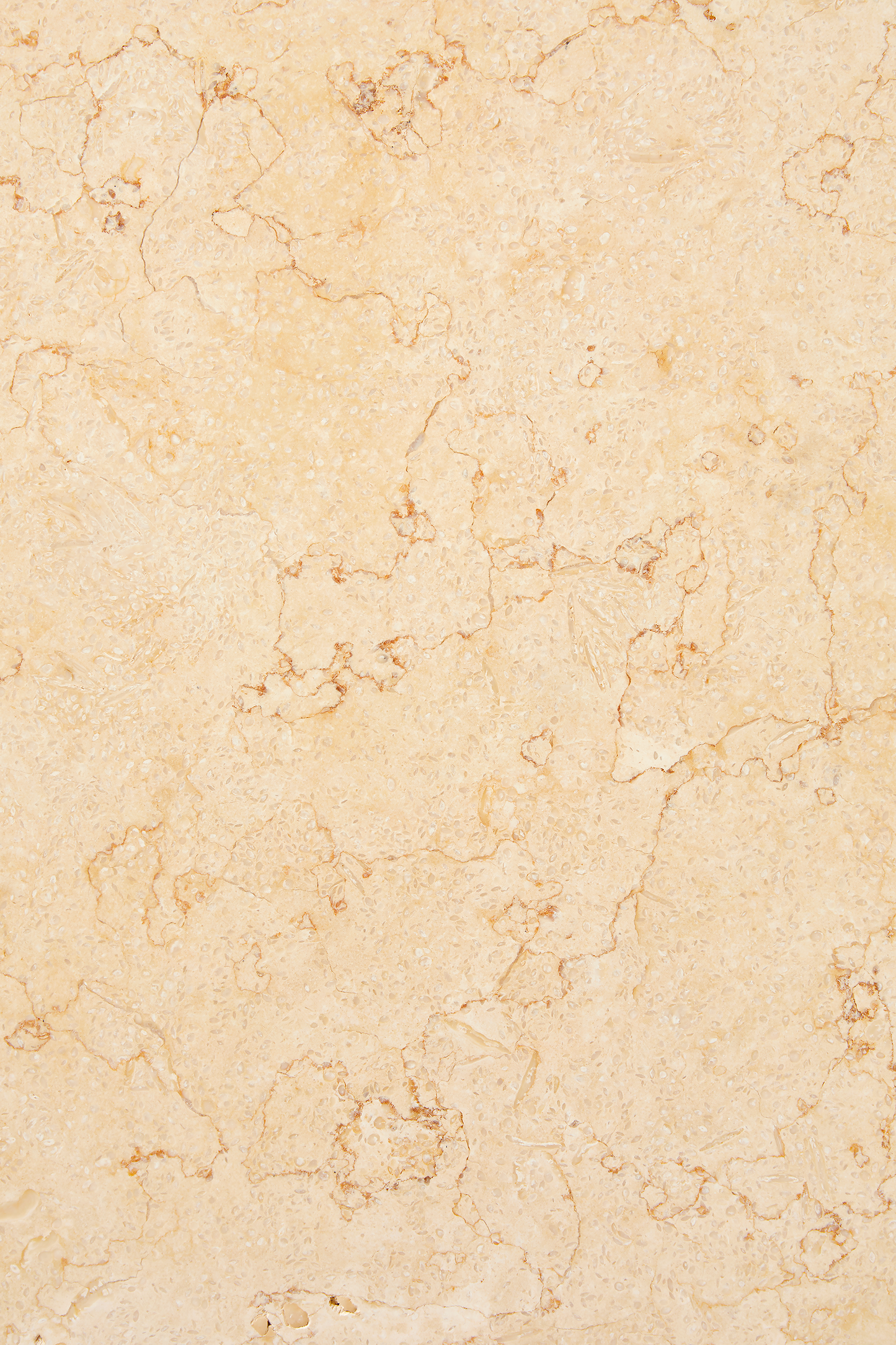 Marble Atlantida / Marble Grey
